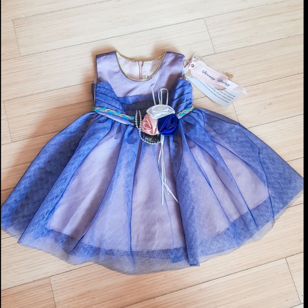 NWT Dressy Daisy Navy & Pink Dress (12m)